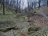 Mria szakadk